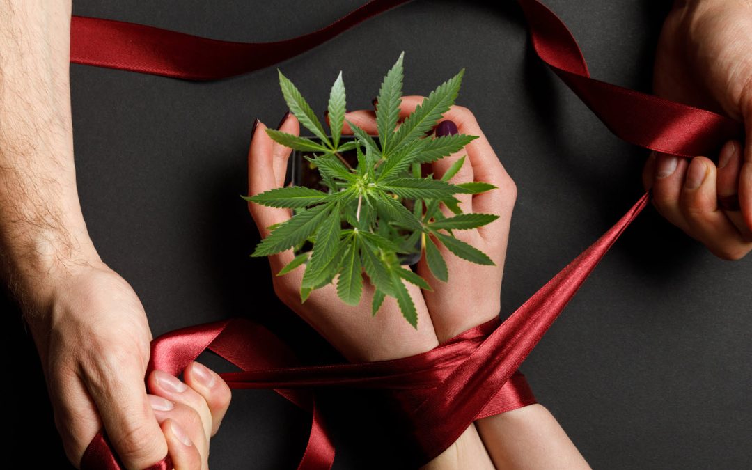 Should Female Orgasm Disorder (FOD) Be a Qualifing Condition for Medical Marijuana?
