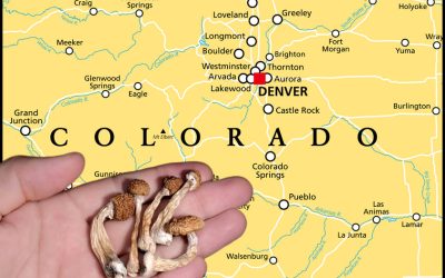Legal Psychedelic Dispensaries for Psilocybin and Shrooms Launch in Colorado – What You Need to Know!