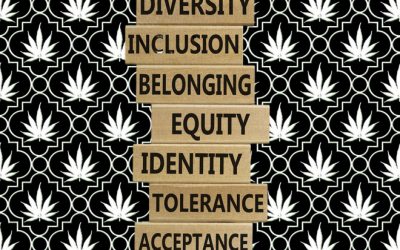 The Dark Side of Marijuana Legalization: Predatory Contracts and the Illusion of Social Equity