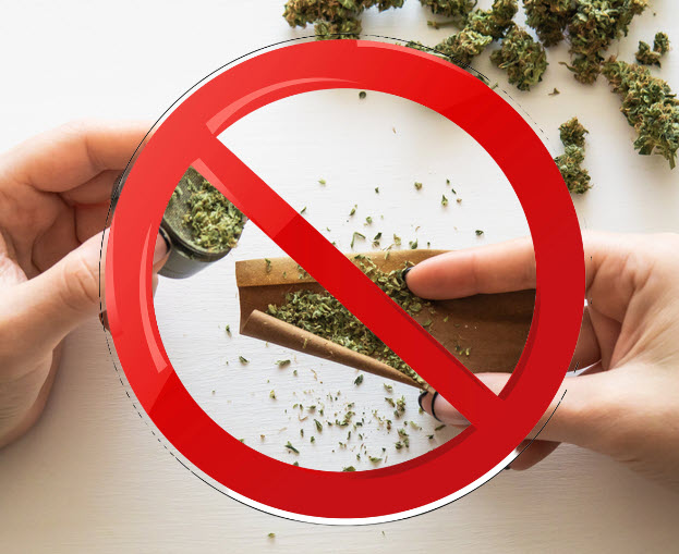 Why are Pre-Rolls the #1 Selling Cannabis Product in America? – People Want to Smoke Weed without All the Fuss and Work