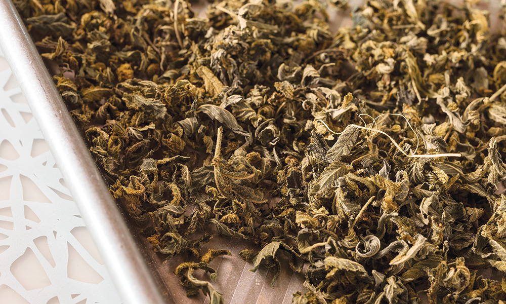 How to Decarb: Making Cannabis Psychoactive With Heat