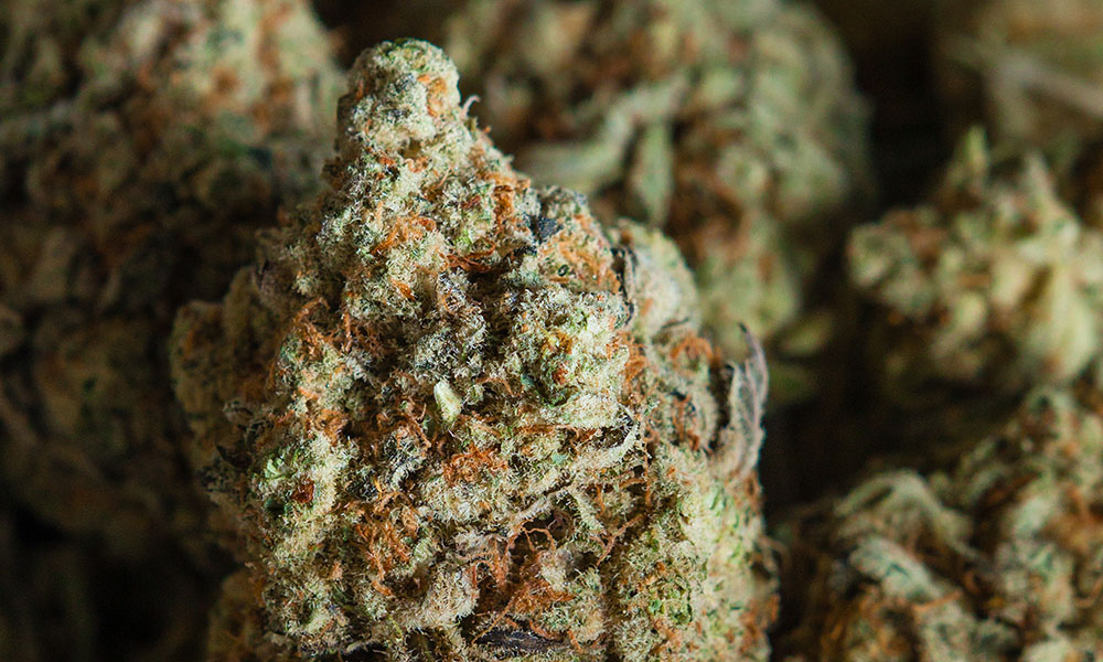 What Is THC: Inside the Most Controversial Cannabinoid