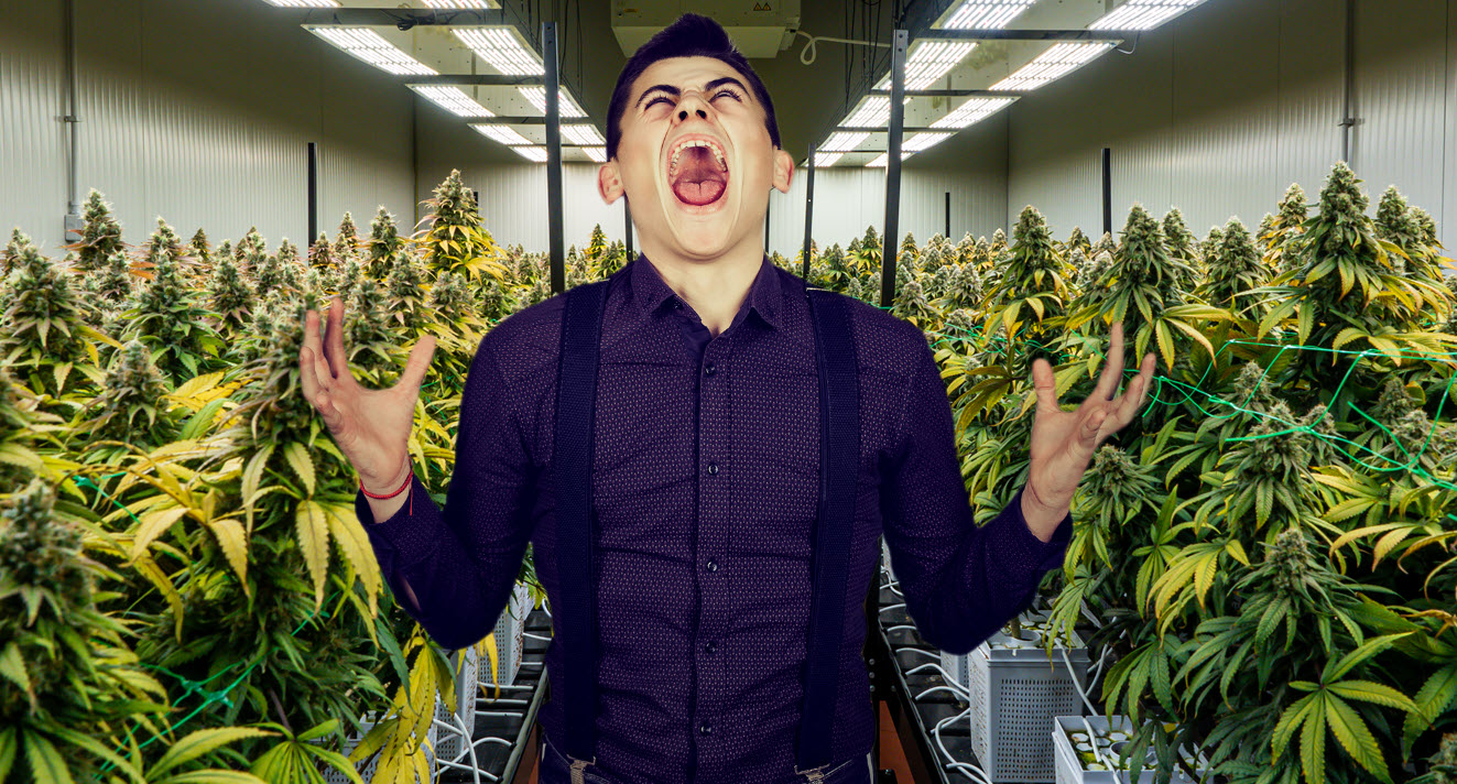 Don’t Be Desperate for Cannabis Legalization – How Politicians are Pulling Your Emotional Heart Strings to Get a Vote