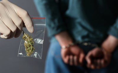 Over 600 People per Day Were Arrested for Simple Marijuana Possession in 2023 – The Drug War Rolls On