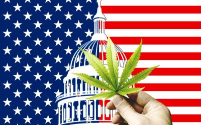 Profits over People – The US Cannabis Industry is All About Making Money and Not Public Health Says New Report