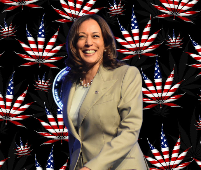 Yes, I Will Legalize Recreational Cannabis at the Federal Level – VP Kamala Harris Goes All in on Weed!