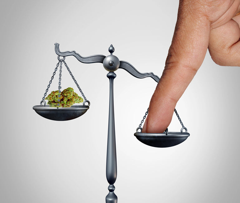 Is the DEA Rigging the Cannabis Hearings like Tyson vs. Paul? – DEA Sued for Hiding Secret Emails from Anti-Pot Lobbying Group