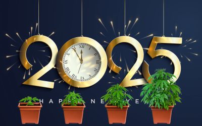 2025: The Year of Growing Your Own Cannabis – 5 Reasons You Need to Start Growing Your Own Weed in 2025