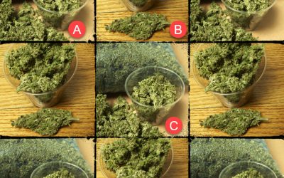 How Much Does an Ounce of Weed Cost Starting 2025? A. $74 B. $150 C. $257 D. $300