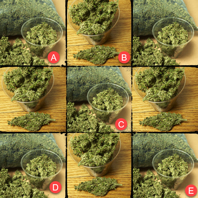 How Much Does an Ounce of Weed Cost Starting 2025? A. $74 B. $150 C. $257 D. $300