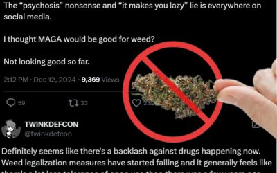 The Green Wave Crashes? – Has Cannabis Legalization Momentum Slowed Down around the World?