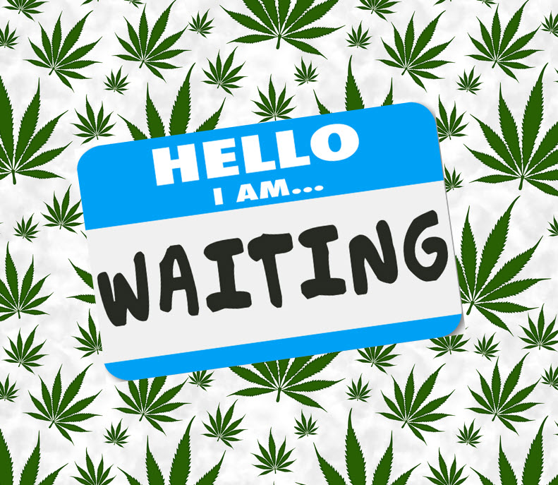 Cannabis Rescheduling No Longer a Done Deal? – DEA Judge Cancels Hearings on Marijuana Until At Least May 2025