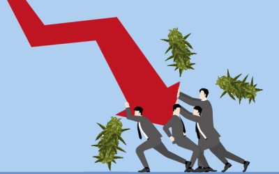 Has the Marijuana Industry Hit Rock Bottom? – Is Now the Time to Jump in and Buy Distressed Assets?