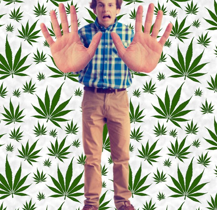Teen Marijuana Use Drops to the Lowest Level Since 1994 – Legalization and Education Keeps Kids Safe