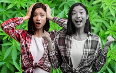 Emotional Regulation Get Easier with Cannabis? – What Does Weed Have to do with Regulating Your Emotions?