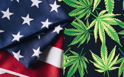 Who are the Next 5 States to Legalize Recreational or Medical Cannabis Starting in 2025?