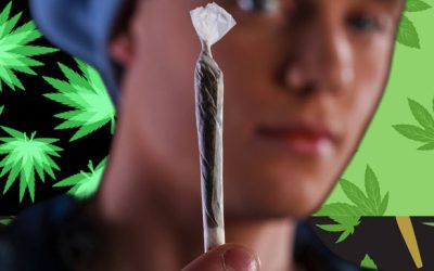 America is Getting High on Hemp and the Federal Government Has No Idea What to Do about It!