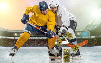 Hockey Players Ditching Post Game Beers for Cannabis Edibles and Playstations