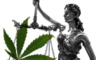Do You Know Why Alcohol is Legal and Cannabis is Not? – The True Story May Surprise You!