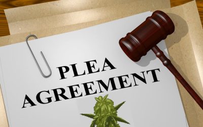 Chairman of High Times Pleads Guilty to $20 Million in Securities Fraud, Then Decides to Change His Guilty Plea?