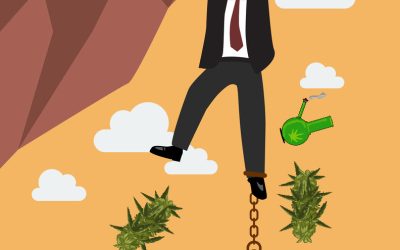 280E Tax Code Restrictions on Cannabis Companies Forever?- GOP Senators File Bill to Keep 280E No Matter What Happnes to Weed