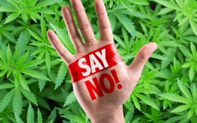 Just Say No to Marijuana! – Trump’s Pick to Head the DEA Links Cannabis to Suicide and Schizophrenia