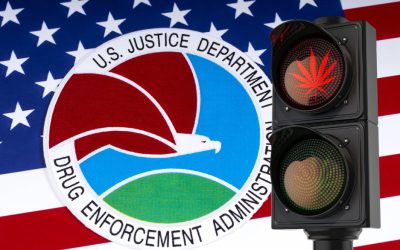 Does Derek Maltz at the DEA Now Kill All Cannabis Legalization and Rescheduling Hopes?