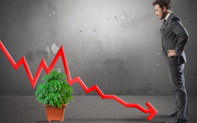 The Cannabis Industry is in a Free Fall – Colorado Cannabis Sales Drop to 2017 Levels with No Bottom in Sight