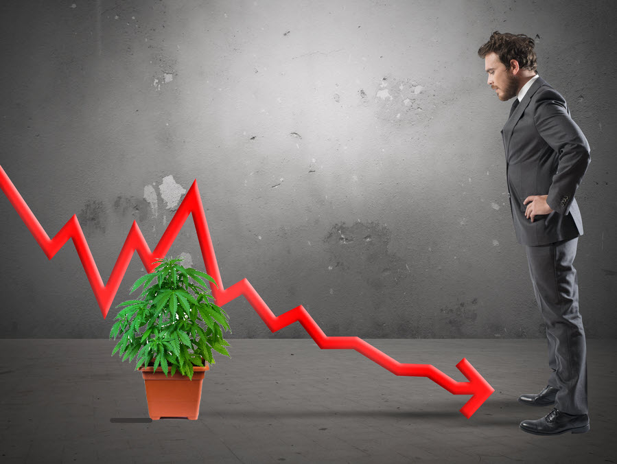 The Cannabis Industry is in a Free Fall – Colorado Cannabis Sales Drop to 2017 Levels with No Bottom in Sight