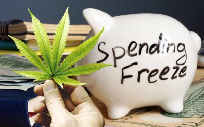 How Does DOGE and the Federal Funding Freeze Impact the Cannabis Industry?