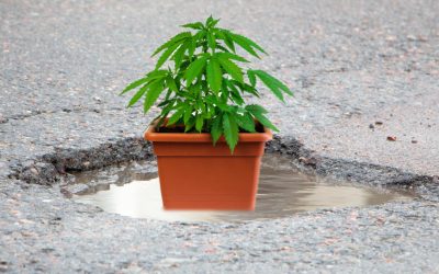 Pot for Potholes? – Michigan Plans to Let Cannabis Tax Revenue Fix the Growing Pothole Problem in the State