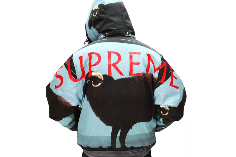 Supreme Teases SS25 Collection