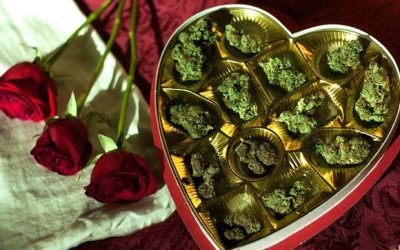 10 Lovely Strains for Valentine’s Day