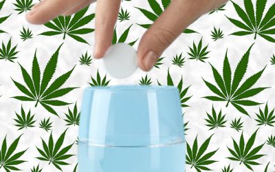 What are Cannabis Dissolvables? Are These Products Trendy, or are They Worth Trying?