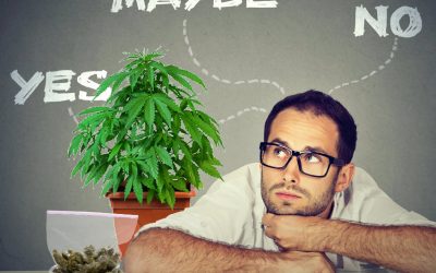 America is Rethinking Marijuana Legalization – A Response to the National Review