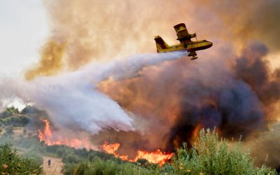Breathing Easy: Safe Cannabis Consumption During Wildfire Season