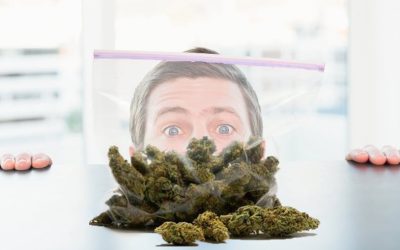 Is the Cannabis Industry Cooling Down or Just Holding Its Breath Right Now?