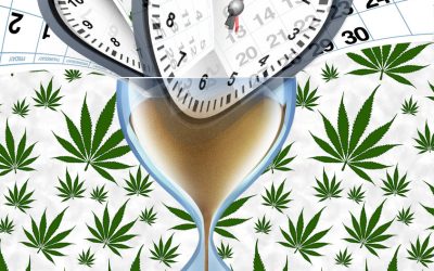 The War on Cannabis Takes a New Twist – Both Democrats and Republicans Step Up to Prevent Cannabis Legalization