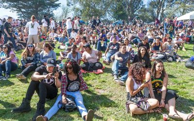 Advertisers Are Watching: What Kind of Marijuana User Are You?