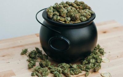 Luckiest Strains for St. Patrick’s Day