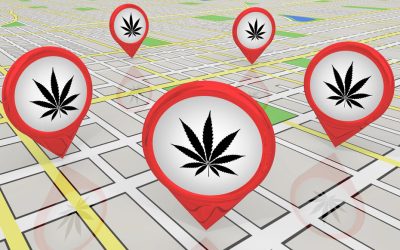 Private, Public, Back to Private – The Curious Case of Weedmaps and the Class Action Lawsuit by Investors
