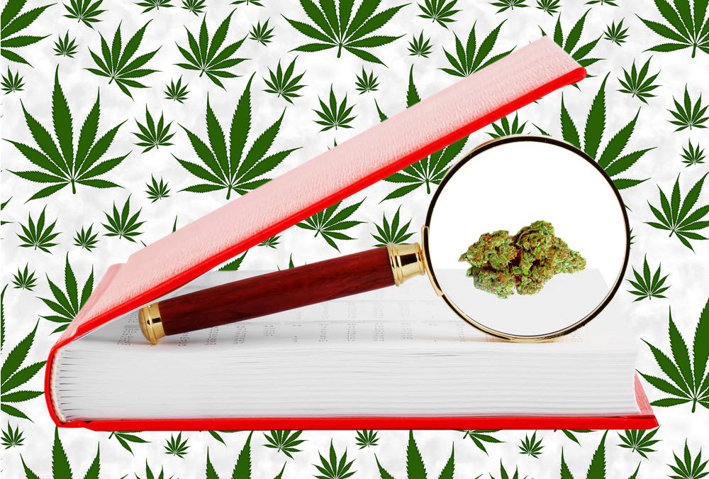 Marijuana Myth Buster : We Need More Research – The Fallback Excuse Not Backed by Facts