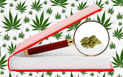 Marijuana Myth Buster : We Need More Research – The Fallback Excuse Not Backed by Facts