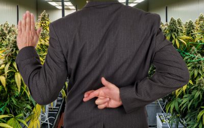 The Cannabis Rescheduling Ruse – White House Says No Action Planned on Cannabis Reform, Hate to Say I Told You So!