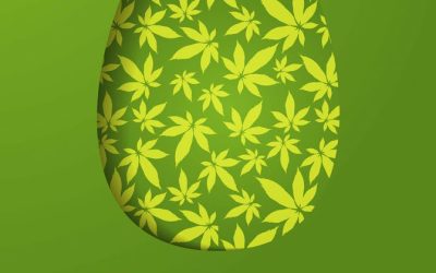 4/20 is on Easter Sunday this Year: A Divine Sign to Resurrect the Cannabis Movement?