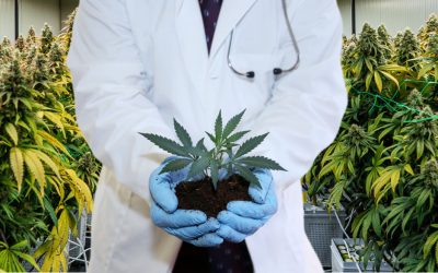 Nobody Cares if You Smoke Weed (And Science Proves It)
