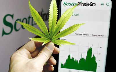 Scotts Miracle Gro Taps Out of the Cannabis Market – Dumps Cannabis Division for an Interest Bearing Promissory Note