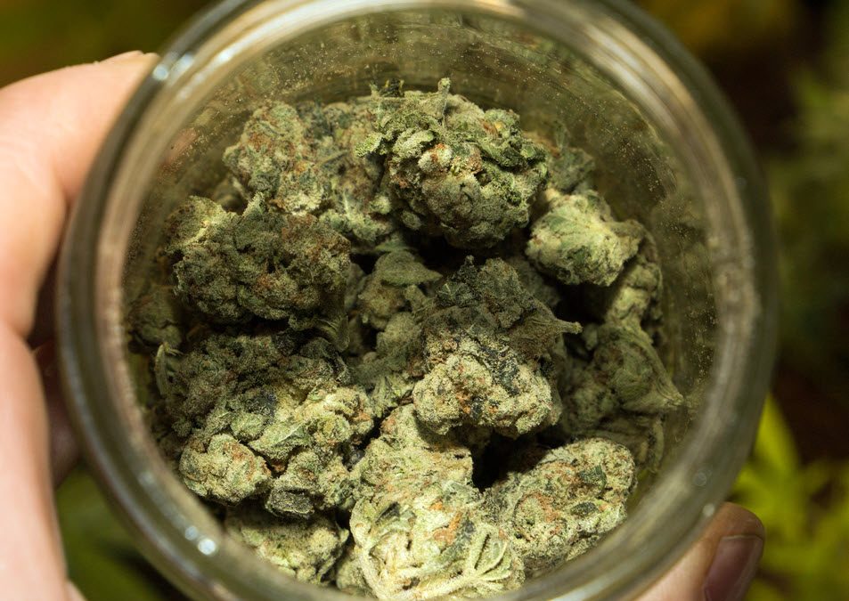 How Much Does an Ounce of Weed Cost Right Now? – What Should You Be Paying for an Ounce of Cannabis?