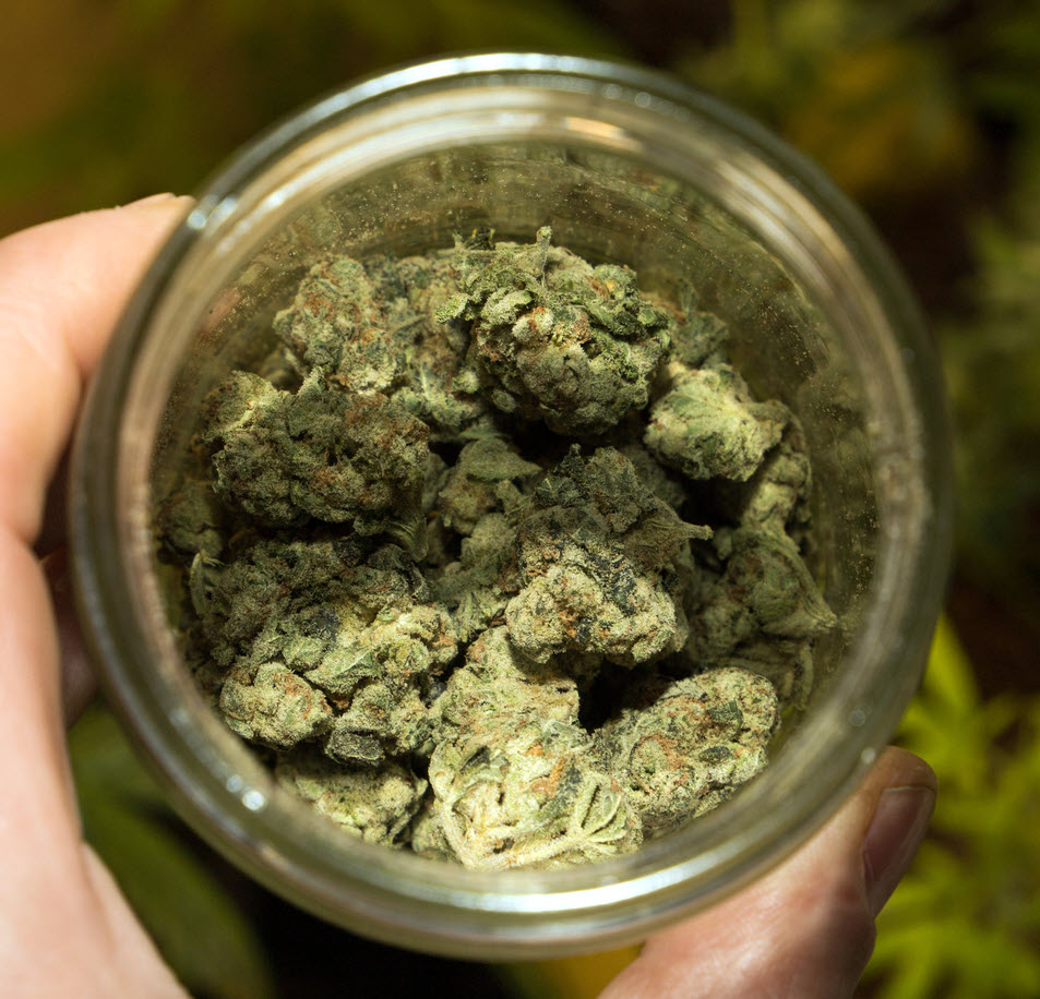 How Much Does an Ounce of Weed Cost Right Now? – What Should You Be Paying for an Ounce of Cannabis?