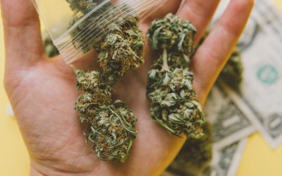 7 Mistakes Made When Buying Cannabis Flower